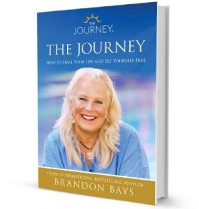 The Journey - Free ebook by Brandon Bays